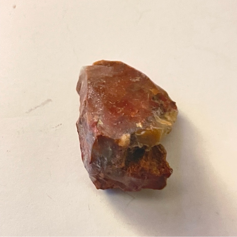 New Petrified Wood Brown Tan Natural Free Form Specimen Chunk 26.2g 131.0CT - Picture 10 of 10